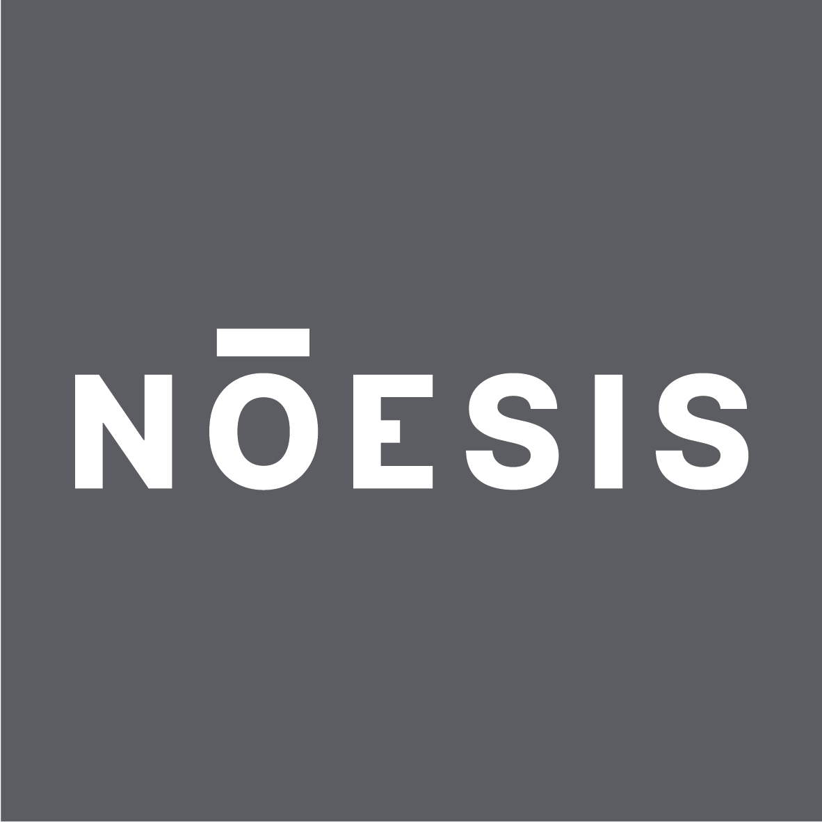 Noesis Partner Logo